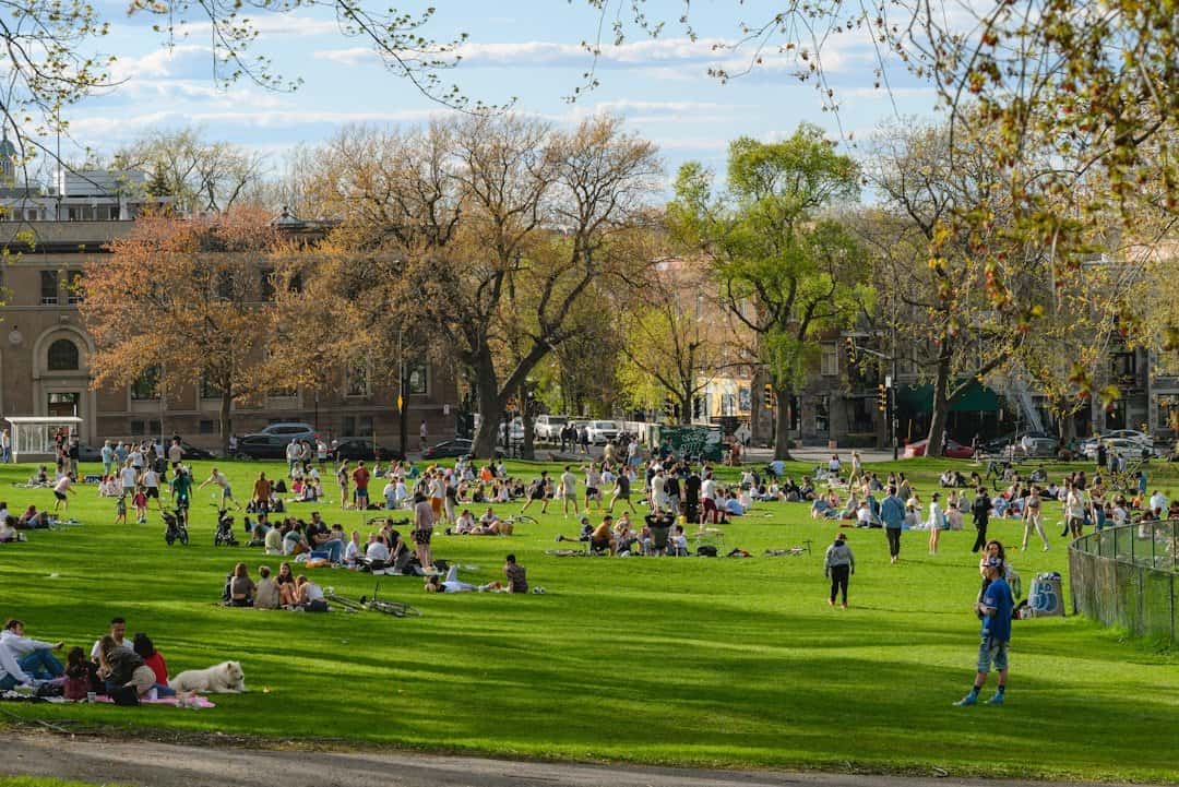 Best MBA Programs in the USA in 2025